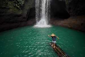 Ubud: Monkey forest, Rice Terrace, Temple and Waterfall