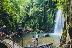 Ubud: Rundtur i apskog, risterrass, tempel och vattenfall