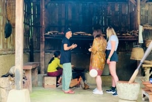 Ubud: Visita al Bosque de los Monos, Terraza de Arroz, Templo y Cascada