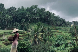 Ubud-rondleiding met optionele Engelstalige, Spaanstalige en Italiaanse gids