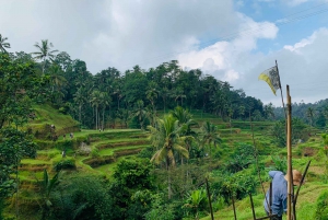 Ubud-rondleiding met optionele Engelstalige, Spaanstalige en Italiaanse gids