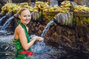 Ubud-rondleiding met optionele Engelstalige, Spaanstalige en Italiaanse gids
