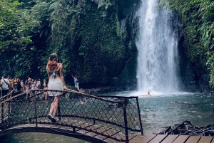 Ubud-rondleiding met optionele Engelstalige, Spaanstalige en Italiaanse gids