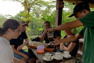 Ubud-rondleiding met optionele Engelstalige, Spaanstalige en Italiaanse gids
