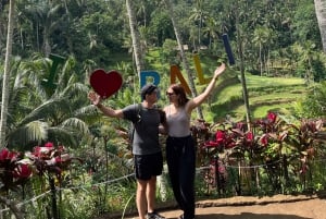 Ubud: Apkeskogen, risterrasser, gunga, vattenfall, tempel