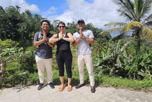 Ubud: Apkeskogen, risterrasser, gunga, vattenfall, tempel