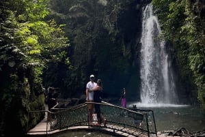 Ubud: Apkeskogen, risterrasser, gunga, vattenfall, tempel
