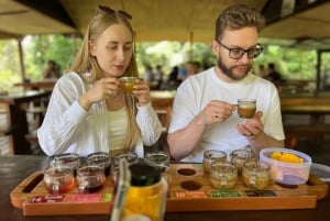 Ubud: Apkeskogen, risterrasser, gunga, vattenfall, tempel