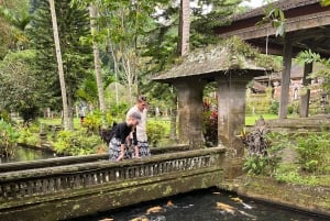 Ubud: Apkeskogen, risterrasser, gunga, vattenfall, tempel