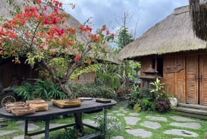 Ubud: Apkeskogen, risterrasser, gunga, vattenfall, tempel