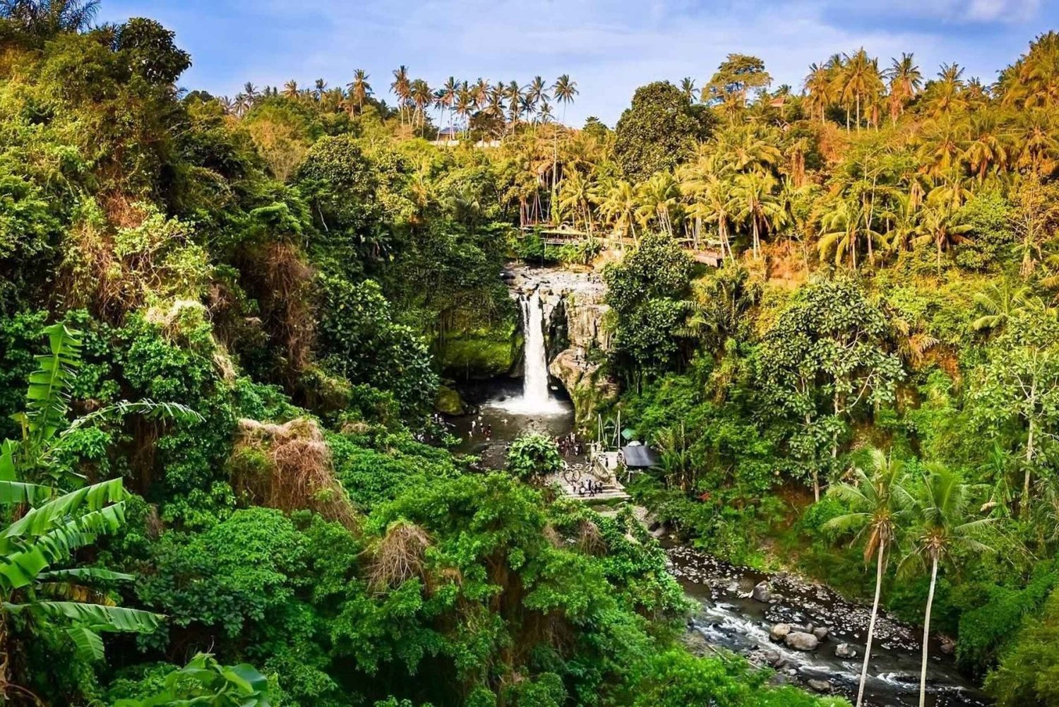Ubud: Monkey Forest, Rice Terraces, and Waterfall Tour