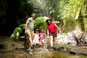 Ubud: Apskogen, risterrasser, tempel och vattenfall
