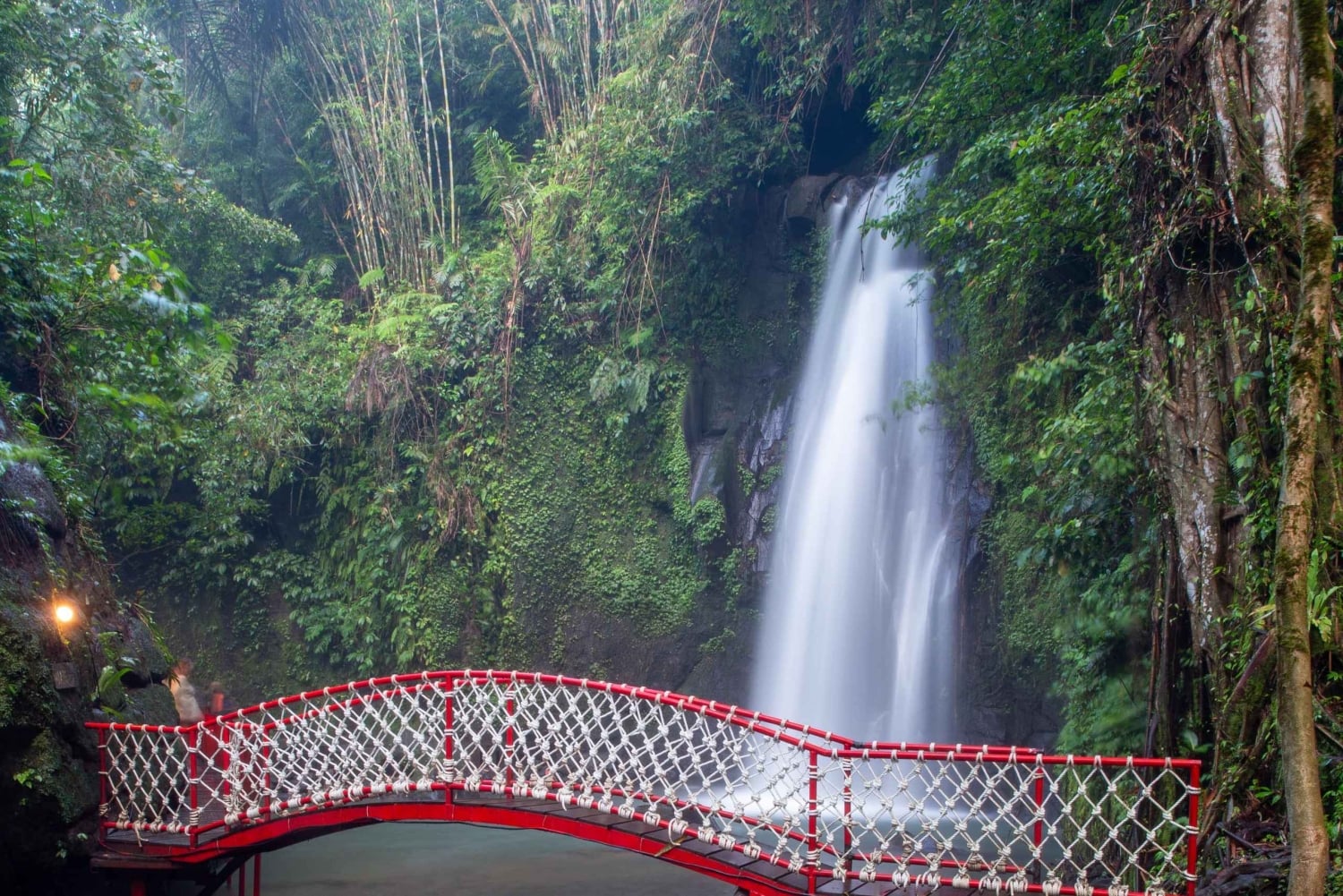Ubud: Małpi Las, tarasy ryżowe, świątynie wodne, wodospady