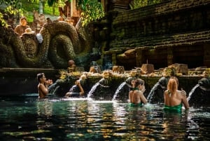 Ubud: Monkey Forest, risterrasser, vattentempel, vattenfall