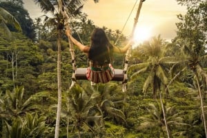 Ubud: Monkey Forest, risterrasser, vattentempel, vattenfall