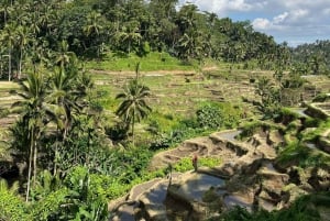 Ubud: Monkey Forest, risterrasser, vattentempel, vattenfall