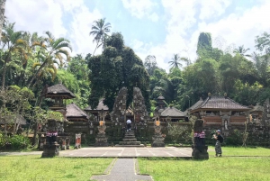 Ubud: Monkey Forest, risterrasser, vattentempel, vattenfall