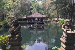 Ubud: Monkey Forest, risterrasser, vattentempel, vattenfall