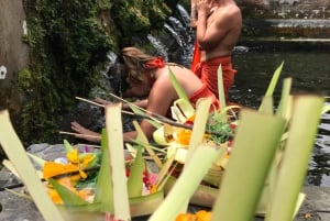 Ubud: Monkey Forest, risterrasser, vattentempel, vattenfall