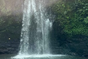Ubud: Monkey Forest, risterrasser, vattentempel, vattenfall