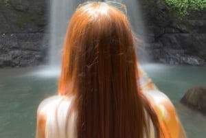 Ubud: Monkey Forest, risterrasser, vattentempel, vattenfall