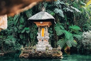 Ubud: Małpi Las, tarasy ryżowe, świątynie wodne, wodospady