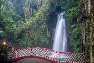 Ubud: Małpi Las, tarasy ryżowe, świątynie wodne, wodospady