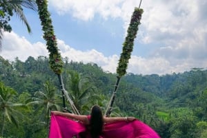 Ubud: Małpi Las, tarasy ryżowe, świątynie wodne, wodospady