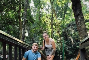 Ubud: Małpi Las, tarasy ryżowe, świątynie wodne, wodospady