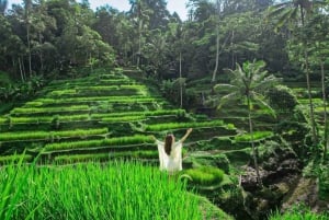 Ubud:Monkey Forest,Rice Terraces,Temple & Waterfalls Tours