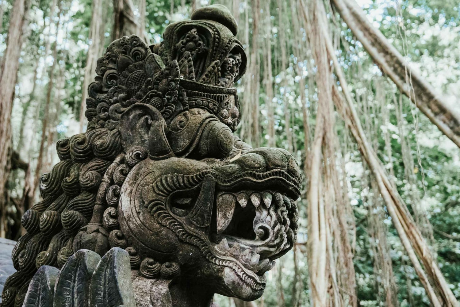 Ubud, Apenas skog, Riceterace-vattenfallet, Reningsplats