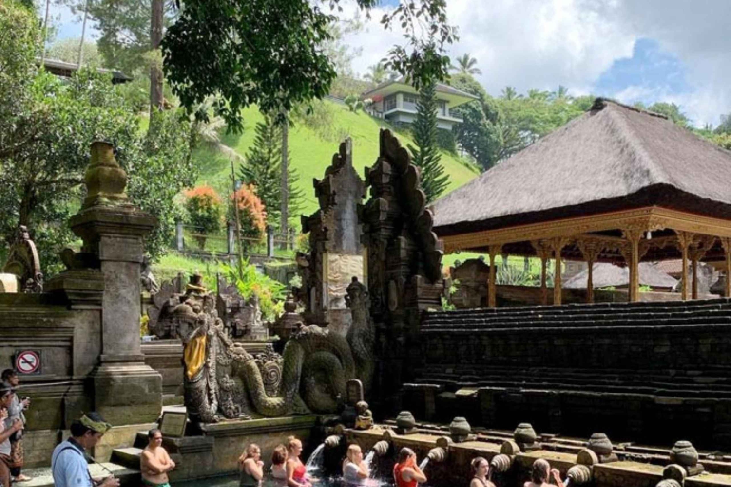 Ubud, Apenas skog, Riceterace-vattenfallet, Reningsplats
