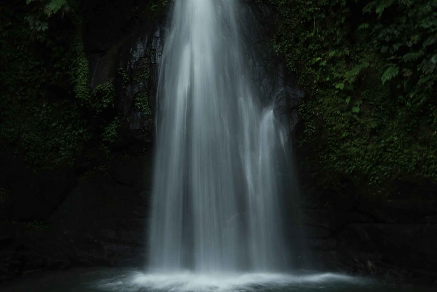 Ubud, Apenas skog, Riceterace-vattenfallet, Reningsplats