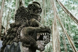 Ubud, Apenas skog, Riceterace-vattenfallet, Reningsplats