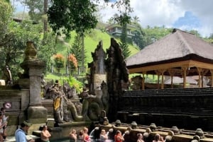 Ubud, Apenas skog, Riceterace-vattenfallet, Reningsplats