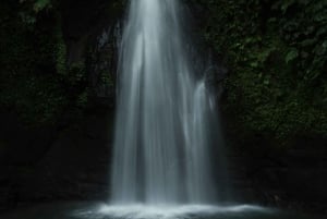 Ubud, Apenas skog, Riceterace-vattenfallet, Reningsplats