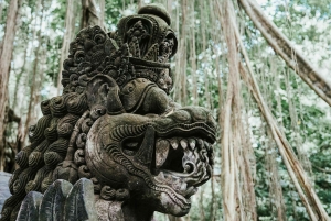 Ubud, abeskoven, Riceterace-vandfaldet, renselsestemplet