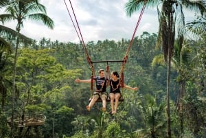 Ubud: Excursión de Medio Día al Santuario del Bosque de los Monos y Columpio en la Selva