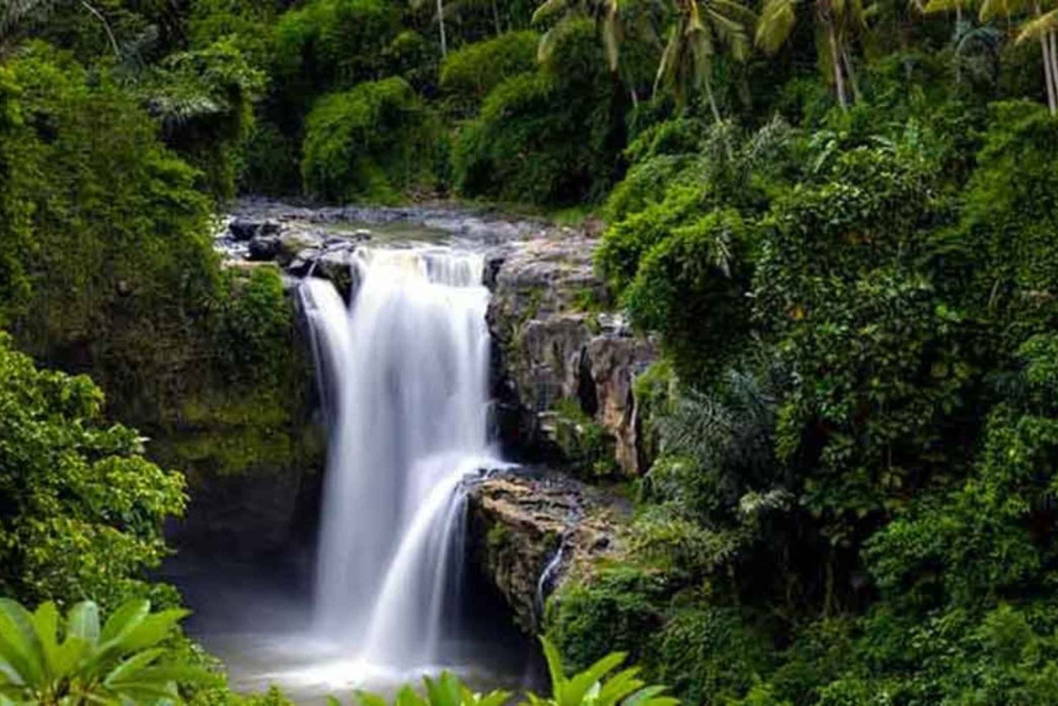 Ubud: Monkey Forest, Tegenungan Waterfall, and Rice Terraces