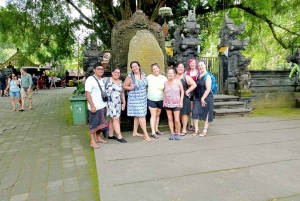 Ubud: Monkey forest, Temple and Tegenungan waterfall Tour
