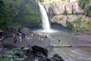 Ubud: Monkey forest, Temple and Tegenungan waterfall Tour