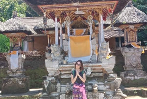 Ubud: Monkey forest, Temple and Tegenungan waterfall Tour
