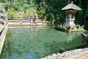 Ubud: Monkey forest, Temple and Tegenungan waterfall Tour