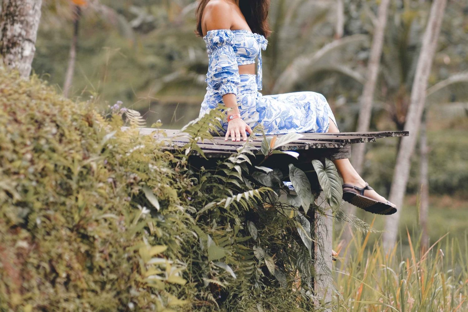 Tur til apeskogen, tempelet, risterrassen og fossen i Ubud