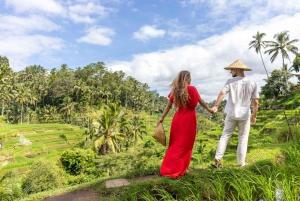 Visita al Bosque de los Monos, Templo, Terraza de Arroz y Cascada de Ubud