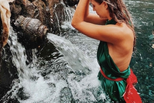 ウブドのモンキーフォレスト、寺院、棚田、滝ツアー