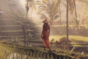 ウブドのモンキーフォレスト、寺院、棚田、滝ツアー