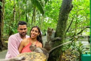 ウブドのモンキーフォレスト、寺院、棚田、滝ツアー