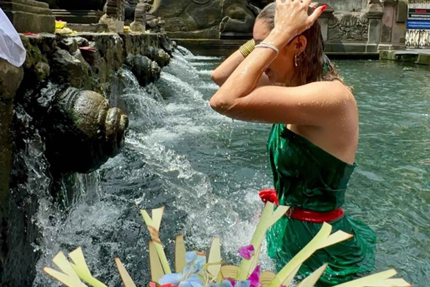 Ubud: Monkey Forest, Temple, Rice Terraces, Hidden Waterfall