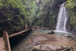 Ubud: Apenbos, tempel, rijstterrassen, verborgen waterval